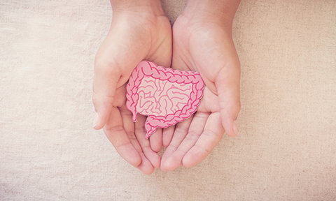 glutammina e barriera intestinale