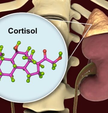 cortisolo formula chimica